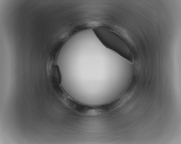 X0000113090364200908281012