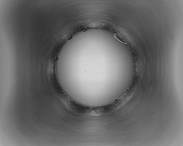 X0000113090368200908281012