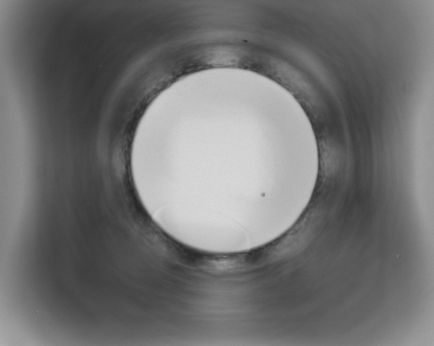 X0000113090370200908281012