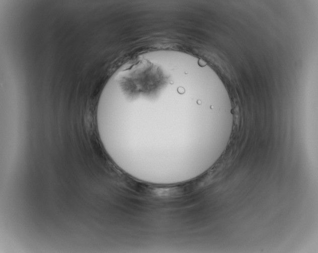 X0000113090371200908281012