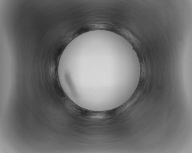 X0000113090377200908281012