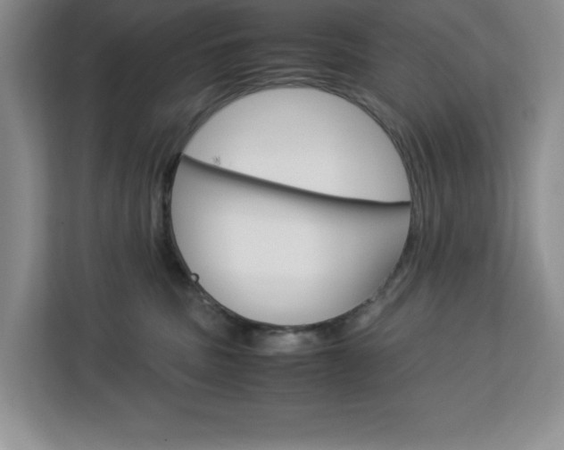 X0000113090379200908281012