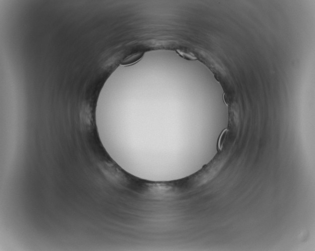 X0000113090380200908281012