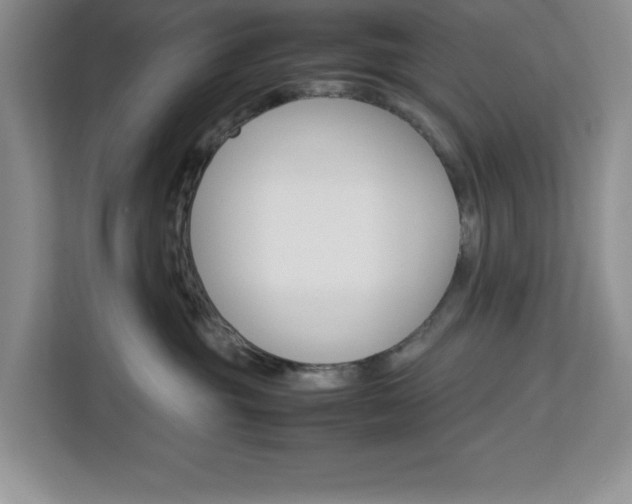 X0000113090381200908281012