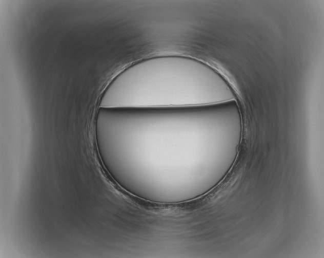 X0000113090385200908281011