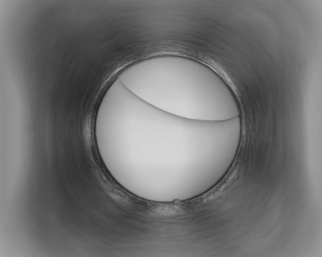 X0000113090386200908281011