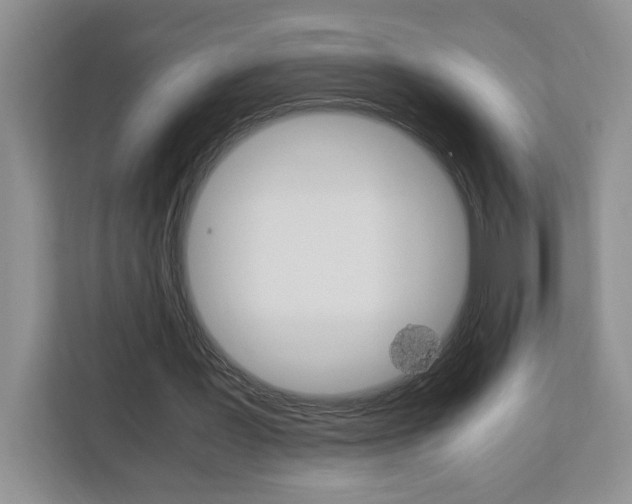X0000113090387200908281011