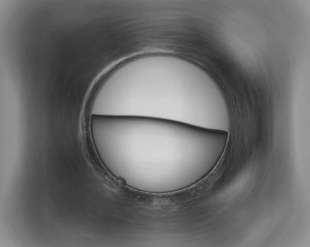 X0000113090388200908281011