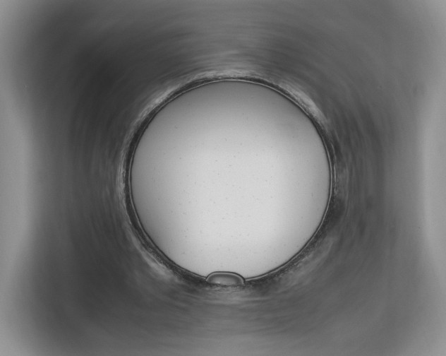 X0000113090389200908281011