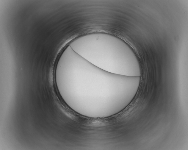 X0000113090390200908281011