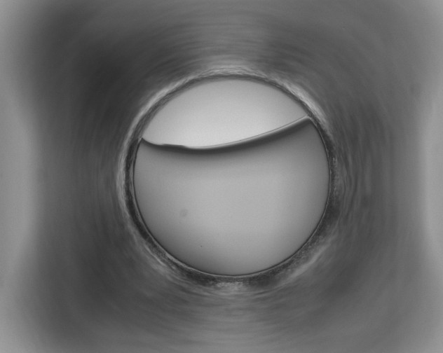 X0000113090391200908281011