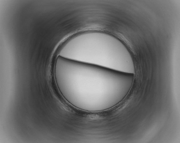 X0000113090392200908281011