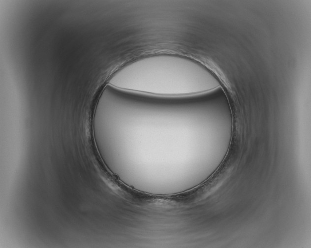 X0000113090393200908281011