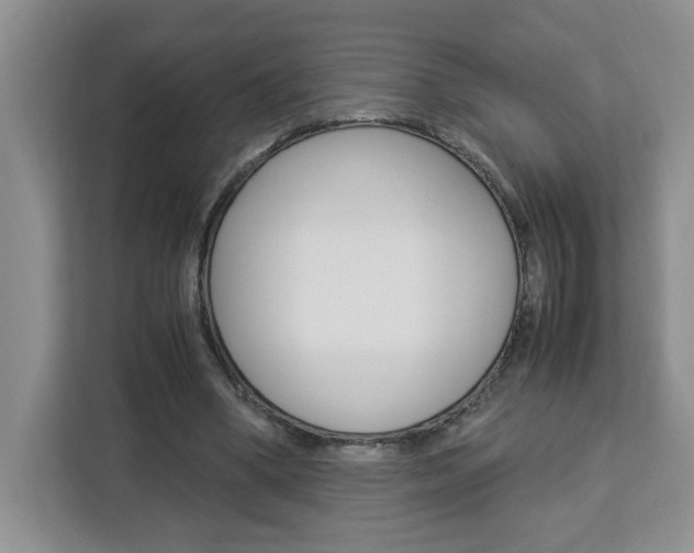 X0000113090394200908281011