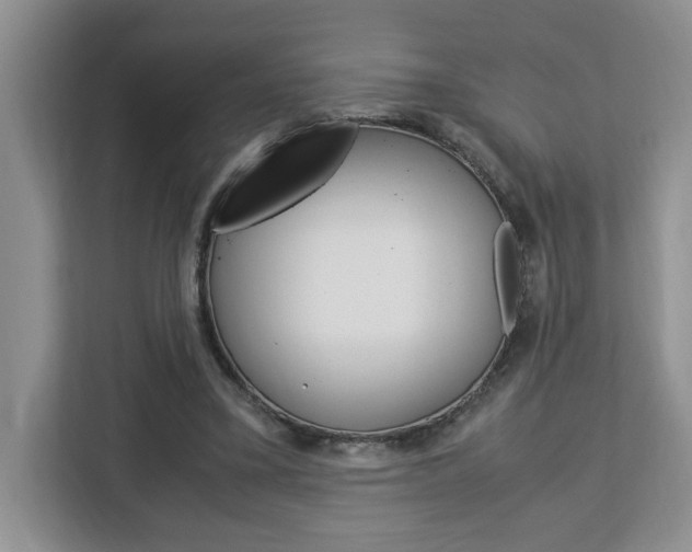 X0000113090395200908281011