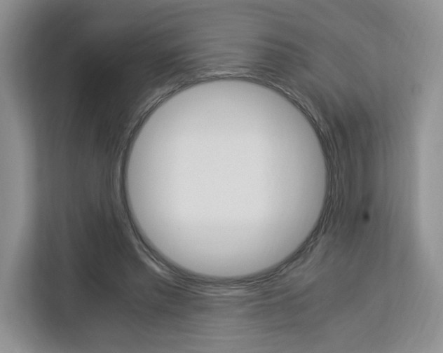 X0000113090397200908281011
