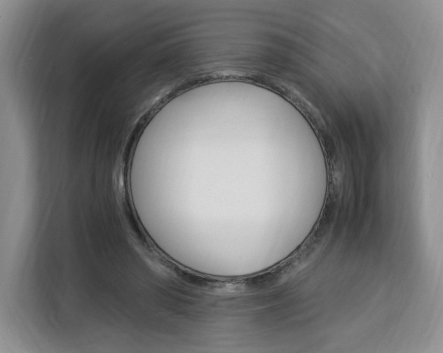 X0000113090398200908281011