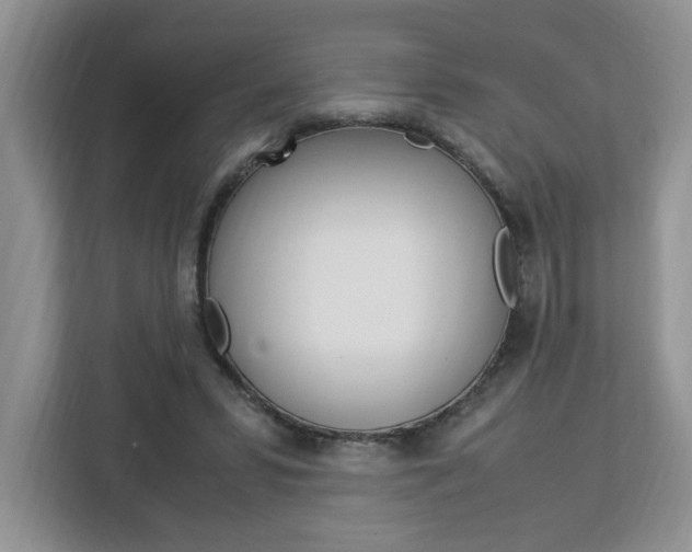 X0000113090399200908281011