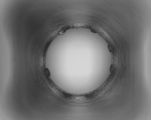 X0000113090401200908281011