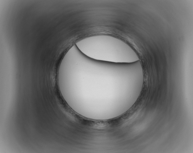 X0000113090402200908281011
