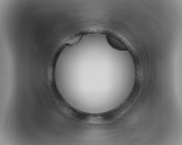 X0000113090403200908281011