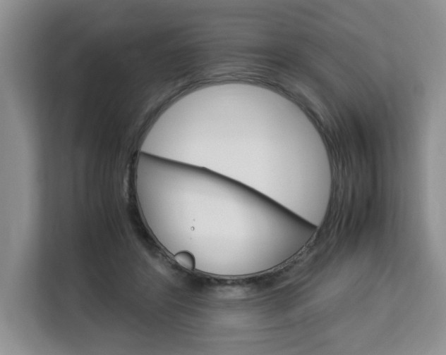 X0000113090404200908281011