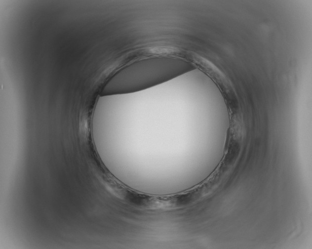 X0000113090405200908281011