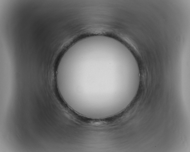 X0000113090407200908281011