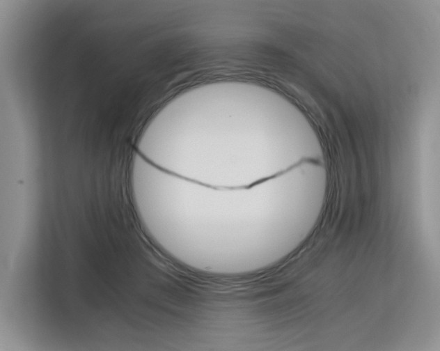 X0000113090409200908281011
