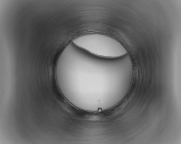 X0000113090412200908281011