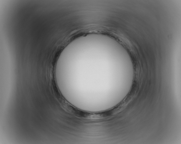 X0000113090413200908281011