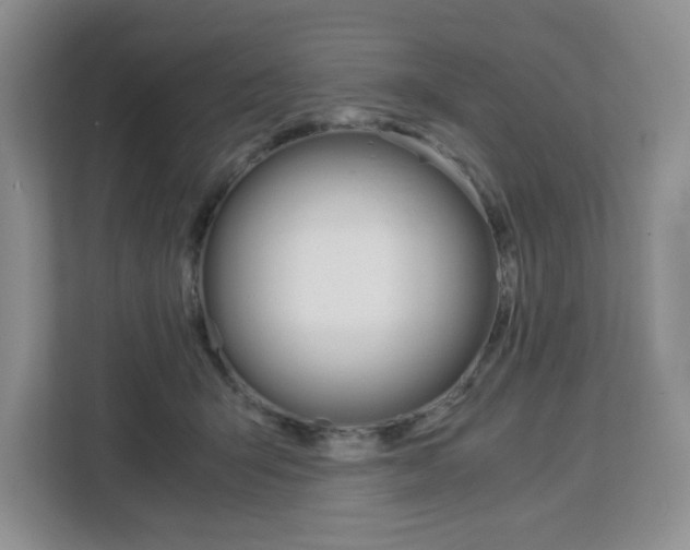 X0000113090415200908281011