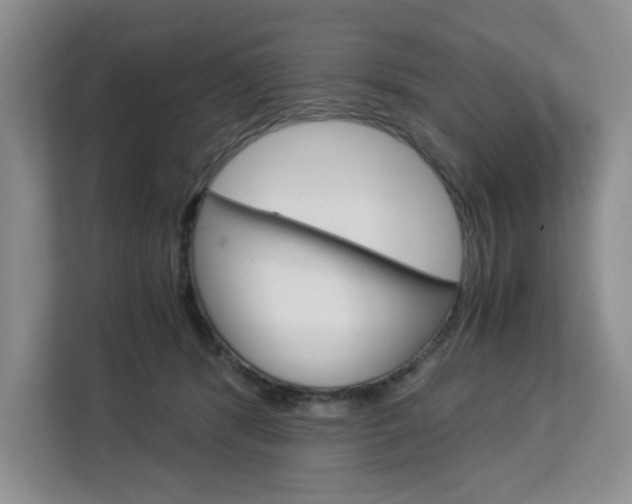 X0000113090416200908281011
