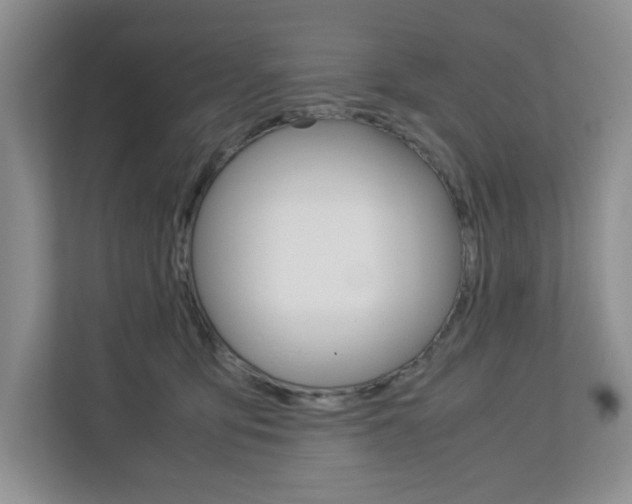 X0000113090419200908281011
