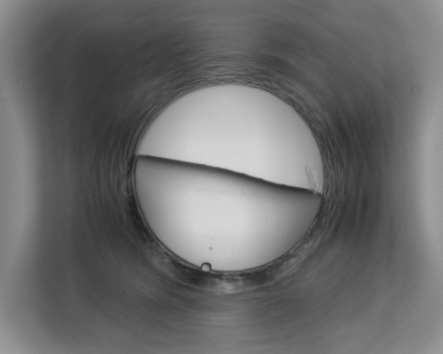 X0000113090420200908281011