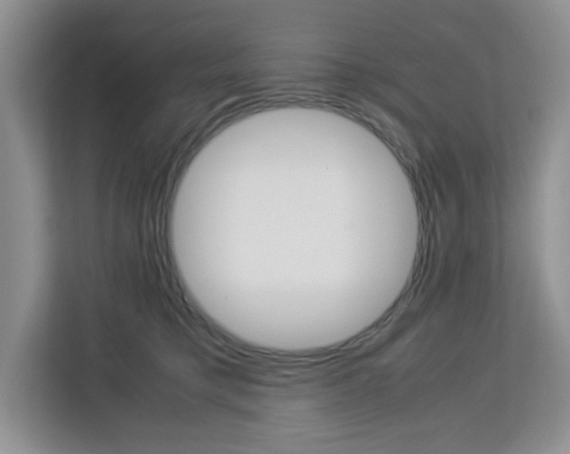 X0000113090421200908281011