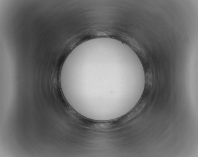 X0000113090422200908281011