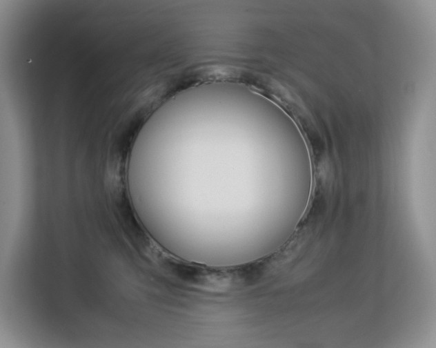 X0000113090423200908281011