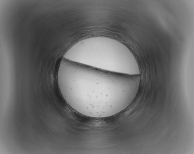 X0000113090424200908281011