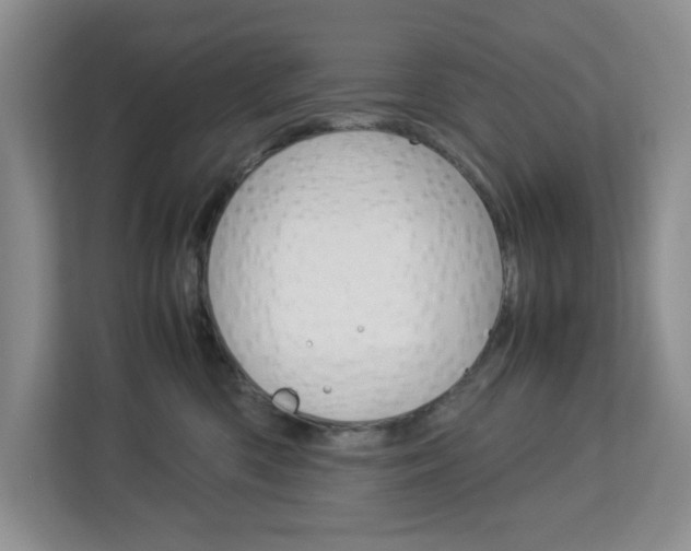 X0000113090426200908281011