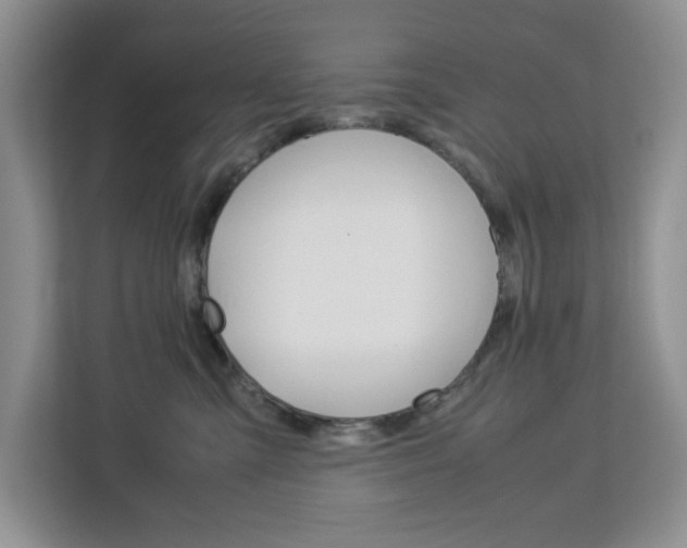 X0000113090427200908281011