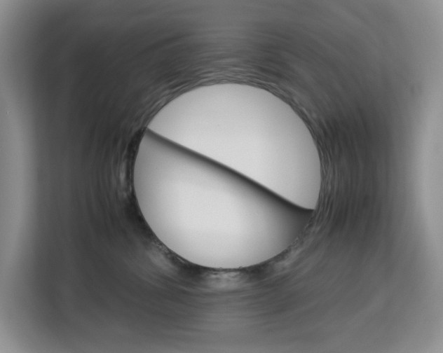 X0000113090428200908281011