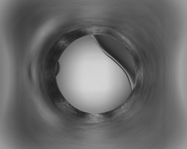 X0000113090429200908281011
