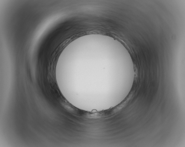 X0000113090430200908281011