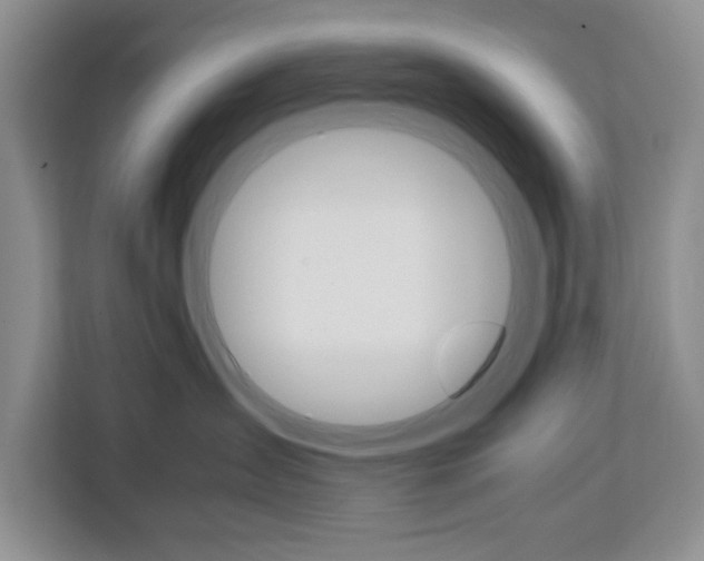 X0000113090431200908281011