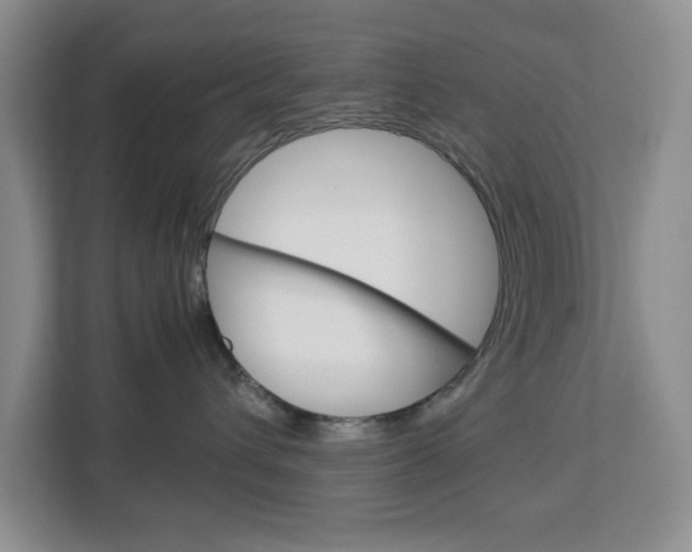X0000113090432200908281011