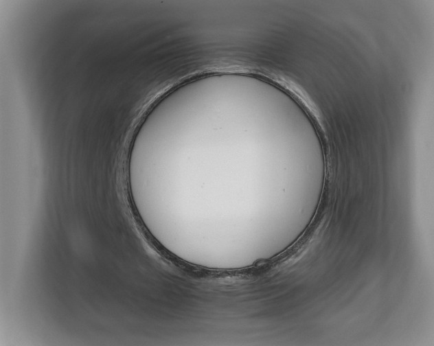 X0000113090433200908281010