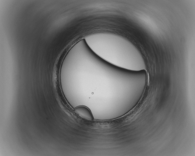 X0000113090435200908281010