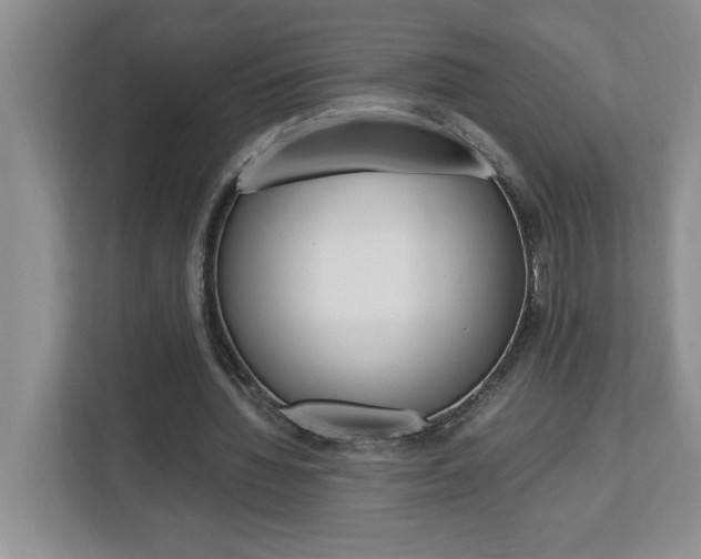 X0000113090436200908281010
