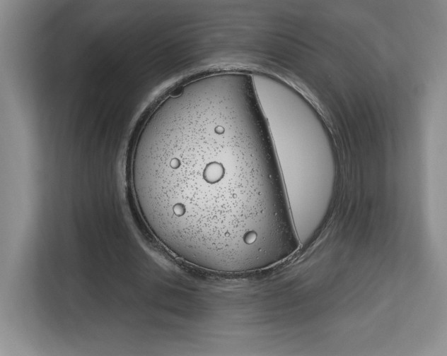 X0000113090438200908281010